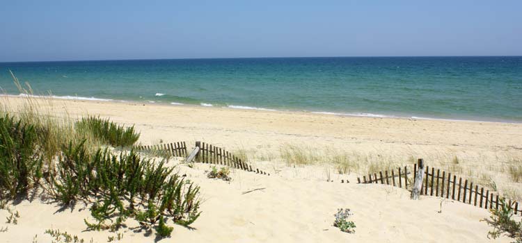 Terra da Estreita spiaggia