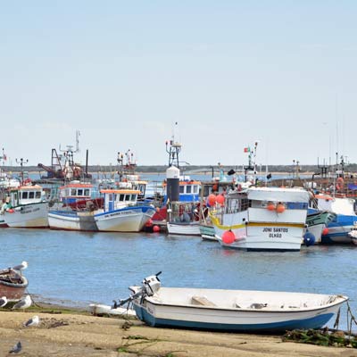 The fishing fleet of Santa Luzia