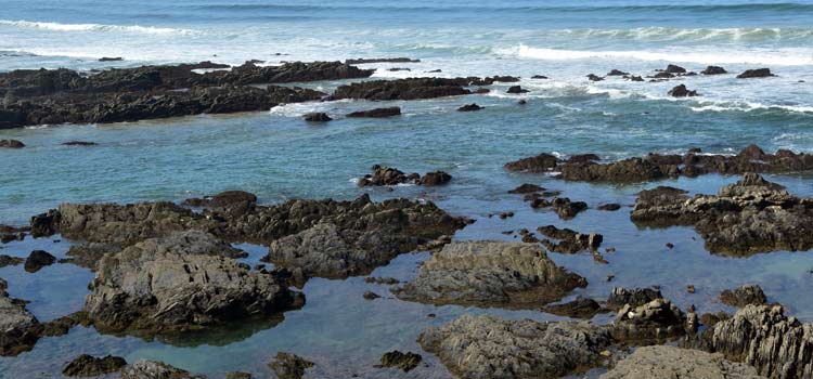 Almograve rock pools